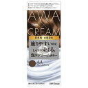 ビゲン 泡クリームカラー 4Aヴェールアッシュ 美容 白髪染め アフターカラー