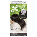 【医薬部外品】リーゼ 泡カラー 髪色もどし ナチュラルブラック 115mL ヘアカラー 毛染め 濃密ムース