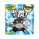 ノンスメル ぱくぱく炭 冷凍室用 20g 脱臭剤 冷凍臭 脱臭力 活性炭 脱臭