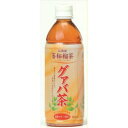 廣貫堂 グァバ茶 500ml ペットボトル