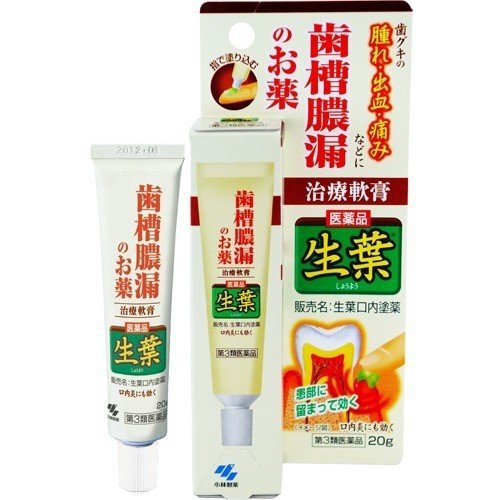 【第3類医薬品】小林製薬 生葉 口内塗薬(20g)【生葉】