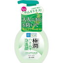 肌ラボ 極潤 毛穴洗浄 大人ニキビ予防 ハトムギ泡洗顔 160mL ハトムギ ヒアルロン酸 保湿成分配合 うるおい 洗浄力 ドクダミエキス うるおい成分 毛穴ケア すっきり毛穴 心地よい香り 乾燥肌 敏感肌 摩擦 低刺激 やわらか泡