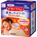 めぐりズム 蒸気でグッドナイト 12枚 無香料 蒸気浴 リラックス 瞑想 癒し