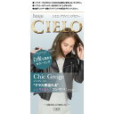【医薬部外品】シエロ デザイニングカラー シックグレージュ ヘアカラー 髪色 染色 髪染め 新生活 発色 簡単 手軽