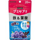 味覚糖 グミサプリ 鉄＆葉酸 20日分 健康維持 抗酸化 ビタミン