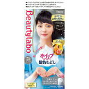 【医薬部外品】ホーユー BeautyLabo ( ビューティラボ ) ホイップヘアカラー 髪色もどし ナチュラルブラック ( 内容量:125ml ) 自然な髪色