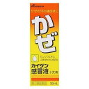 【指定第2類医薬品】カイゲン感冒液小児用 30ml カイゲン感冒液 小児用 せき のどの痛みに 小児用