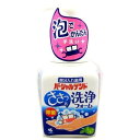 小林製薬 パーシャルデント 洗浄フォーム 250ml 入れ歯洗浄剤 手洗い 泡 ポンプ 洗浄 洗浄剤 除菌 入れ歯 部分入れ歯