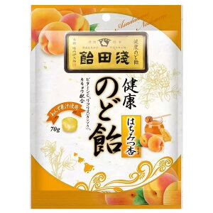 浅田飴 のど飴はちみつ杏 70g ビタミンC 本格のど飴 果汁