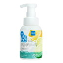 クレッシュ薬用泡で出るハンドソープ ポンプ 250mL ハンドソープ 泡(4)