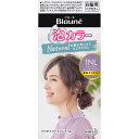 【医薬部外品】ブローネ 泡カラー 1NL ナチュラリーラベンダーアッシュ(108ml) 泡タイプ 白髪用ヘアカラー 白髪染め