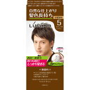 【医薬部外品】ルシード ワンプッシュケアカラー5 ナチュラルブラウン ヘアカラー