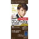 【医薬部外品】サロンドプロワンプッシュメンズカラー 6 ダークブラウン 白髪染め