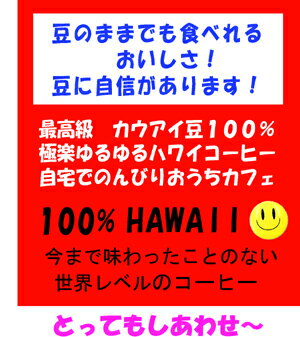 【ヘーゼルナッツ200g】ヘーゼルナッツフレーバーコーヒー【メール便(ネコポス)のみ送料無料】