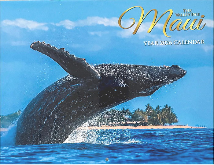 ϥ磻  2026ǯ ڥޥۿ̸ڥϥ磻󻨲ߡۡڥϥ磻 ʡ ϥ磻  줤 ̵ åԥԲ...