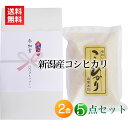 【ゴルフコンペ 景品 参加賞】新潟産コシヒカリ 300g(2合) 箱入り 熨斗付き×5点セット