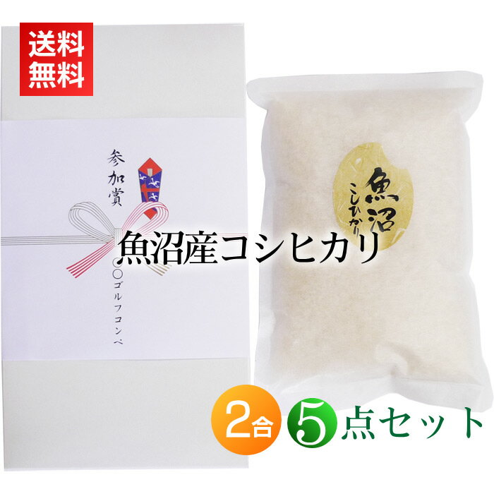 ڥե  þޡ۵»ҥ 300g(2) Ȣ դ5å