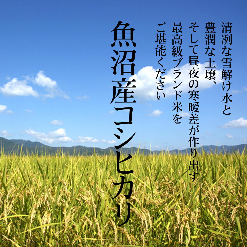【ゴルフコンペ 景品 参加賞】魚沼産コシヒカリ 1kg 箱入り 熨斗付き×5点セット