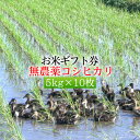 【お米ギフト券・新米】農薬無使用米コシヒカリ 5kg×10セット[送料無料]目録/引換券/景品/二次会/ゴルフ/内祝い/お祝い/快気祝い/引越し祝い/香典返し/のし対応