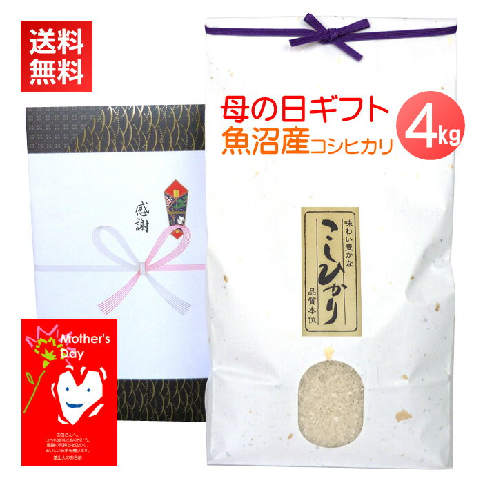 Other - 母の日 プレゼント 魚沼産コシヒカリ 4kg／2026 遅れてごめんね 送料無料 お母さん 米 4キロ お米 高級米 メッセージカード カード付 ギフト 新潟米 新潟 コシヒカリ グルメ 定番 サプライズ 魚沼産 魚沼コシヒカリ
