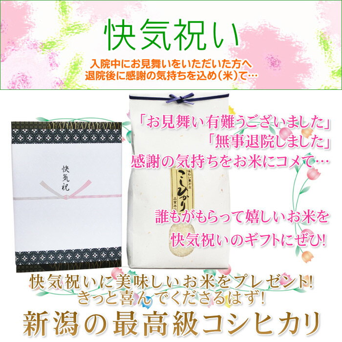 快気祝い米 4kg/新米 送料無料 新潟米 コ...の紹介画像2