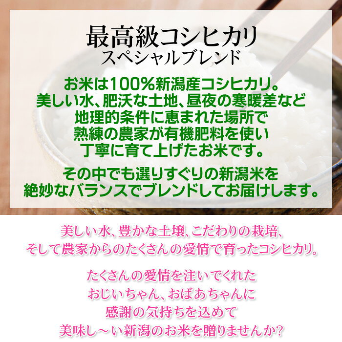 サンプル画像3
