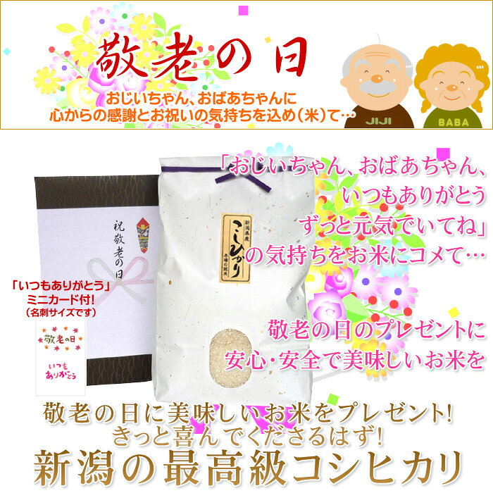 サンプル画像2