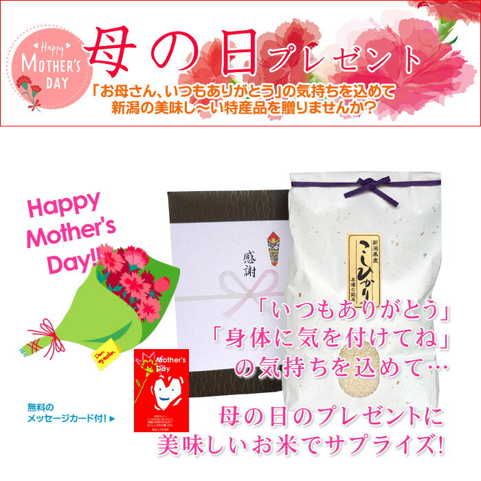 ワンダフルライフの母の日 プレゼント 新潟産コシヒカリ／2026 遅れてごめんね 送料無料 お母さん 米 お米 高級米 メッセージカード カード付 ギフト 新潟米 新潟 コシヒカリ グルメ 定番 サプライズ ブランド米 銘柄米｜アングル2