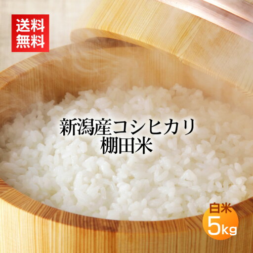 新潟コシヒカリ 棚田米 白米・精米 5kg/令和6年産 米 お米 新潟米 新潟産 コシヒカリ こしひかり 5キロ 送料無料 あす楽 即日発送 新潟コシヒカリ 棚田米 白米・精米 5kg/令和6年産 米 お米 新潟米 新潟産 コシヒカリ こしひかり 5キロ 送料無料 あす楽 即日発送