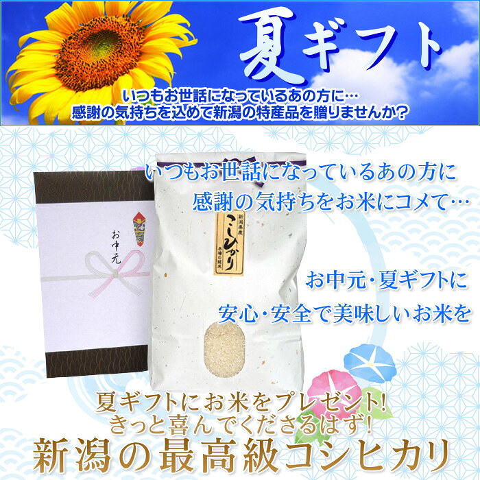 お中元 米 2kg 新潟コシヒカリ／送料無料 御中元 夏ギフト お米 2キロ 新潟米 新潟...