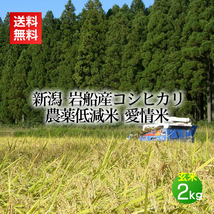 農薬低減米 岩船産コシヒカリ 愛情米 玄米 2kg(新米 令和7年産 米 お米 新潟 新潟米 コシヒカリ)