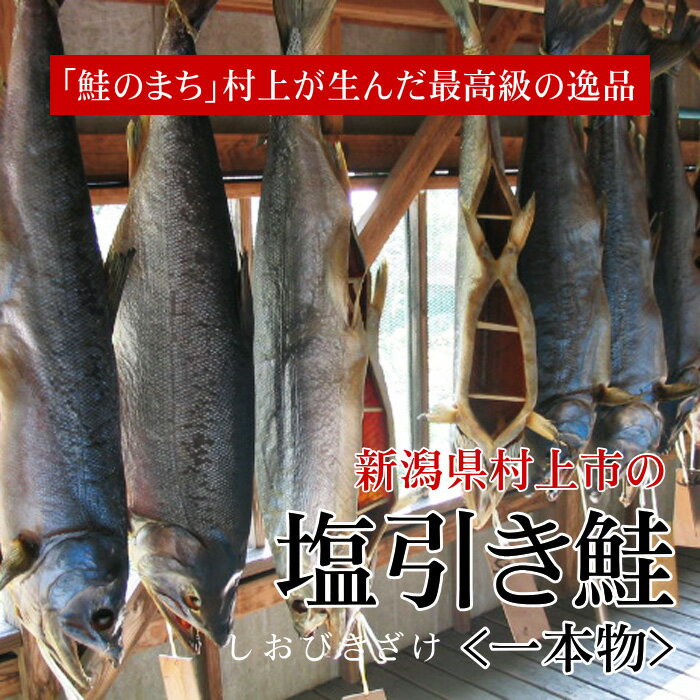 新潟 村上 塩引き鮭 塩引鮭 一本物 4kg台／送料無料 鮭 1本物 丸のまま 切り身加工 サケ シャケ 塩鮭 無添加 無着色 保存料不使用 新潟県 村上市 特産品 ギフト