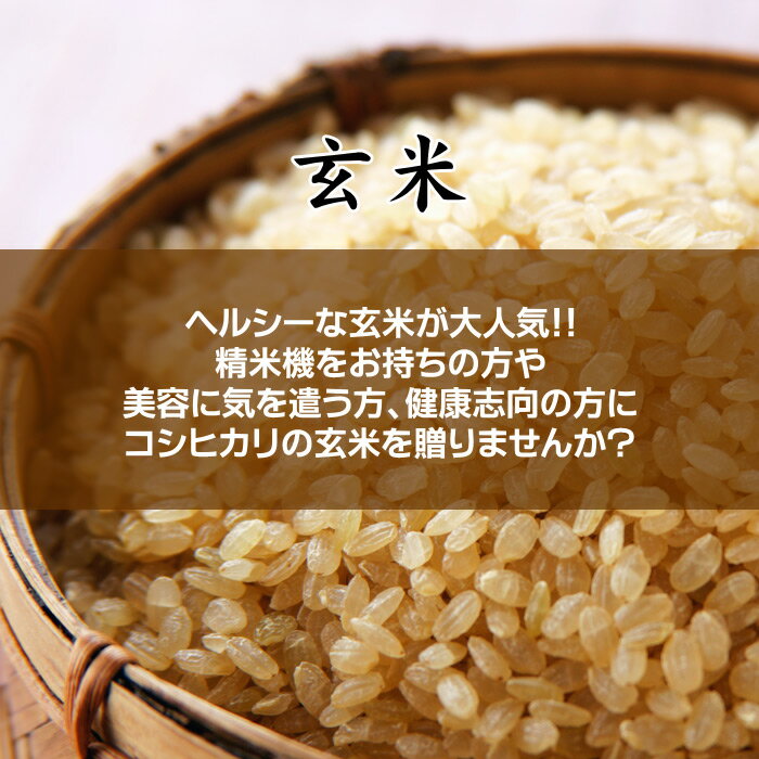 出産内祝い米 体重米 玄米[2000-2499g]／送料無料 出産内祝い お米 だっこ米 出生体重米 ウエイトライス 出産 内祝い お返し 写真入り メッセージカード カード付 名入れ ギフト 新潟米 コシヒカリ 玄米食 美容 健康 3