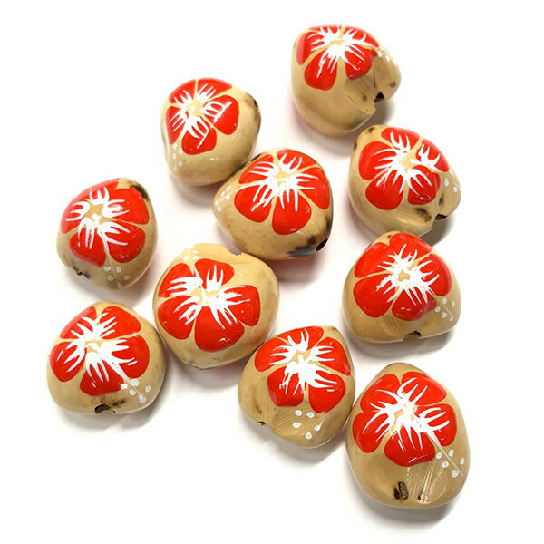 ククイ キャンドルナッツ 【0191】 10個セット(10個入) ナチュラルククイ オレンジ 素地 くくい くくいなっつ ブラック ハワイアンリボンレイ ククイナッツ ヘアゴム アクセサリー