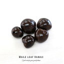 ククイ キャンドルナッツ 【0035】 5個セット(5個入)ダークブラウン くくい くくいなっつ ブラック ハワイアンリボンレイ ククイナッツ ヘアゴム アクセ...
