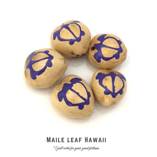 ククイ キャンドルナッツ 【0107】 5個セット(5個入)ナチュラル ホヌ パープル 素地 くくい くくいなっつ ブラック ハワイアンリボンレイ ククイナッツ ヘアゴム アクセサリー ククイ キャンドルナッツ 【0107】 5個セット(5個入)ナチュラル ホヌ パープル 素地 くくい くくいなっつ ブラック ハワイアンリボンレイ ククイナッツ ヘアゴム アクセサリー