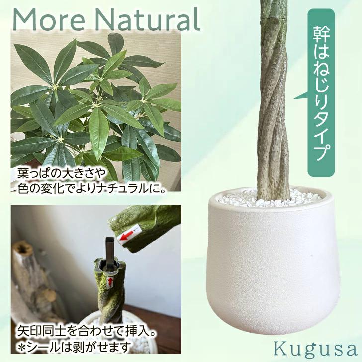 �ե��������꡼�� �緿 �ѥ��� �ꥢ�� �͹����տ�ʪ ���տ�ʪ �ե����� ¤�� 100cm ����ƥꥢ ���� ���ե��� ������� ���� ��ʡ���� ������Ź�ƽ��� Kugusa