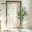 フェイクグリーン オリーブ オリーブの木 リアル 人工観葉植物 観葉植物 フェイク 大型 造花 120cm インテリア 室内 オフィス おしゃれ 装飾 平和の象...