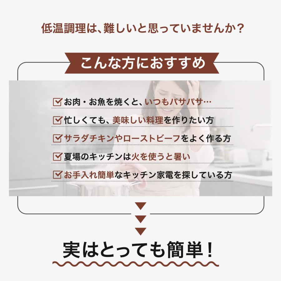 �㲹Ĵ���� ���������å��� �쥷���� �������ȥӡ��� �� ����������� �Ѽ� ���㡼���塼 ������ �ץ��