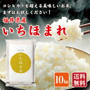 お米 米 10kg 福井県産 いちほまれ 福井県米