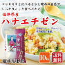 お米 米10kg【令和2年産】福井県産 華越前 福井県米【楽ギフ_包装】【楽ギフ_のし】【はなえちぜん】