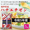 お米 米5kg 【令和5年産】 福井県産 華越前 福井精米【はなえちぜん】【楽ギフ_包装】【楽ギフ_のし】