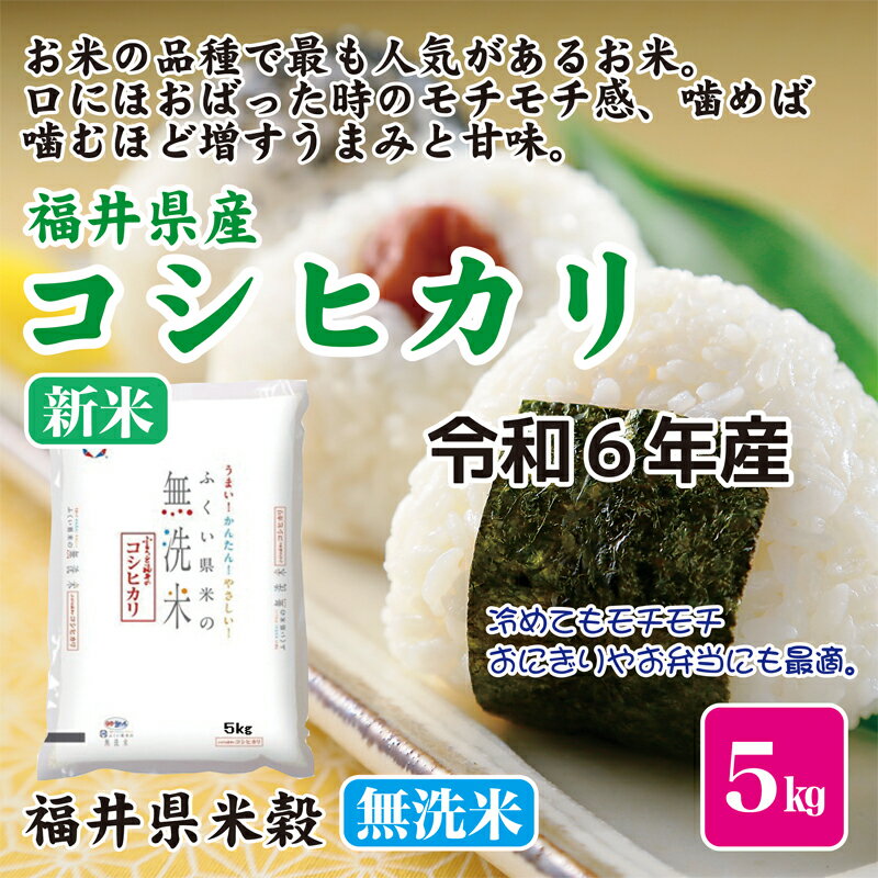 令和6年産 新米 お米 米5kg 福井県産 無洗米 こしひかり 福井県米穀 【コシヒカリ 米】【RCP】のサムネイル