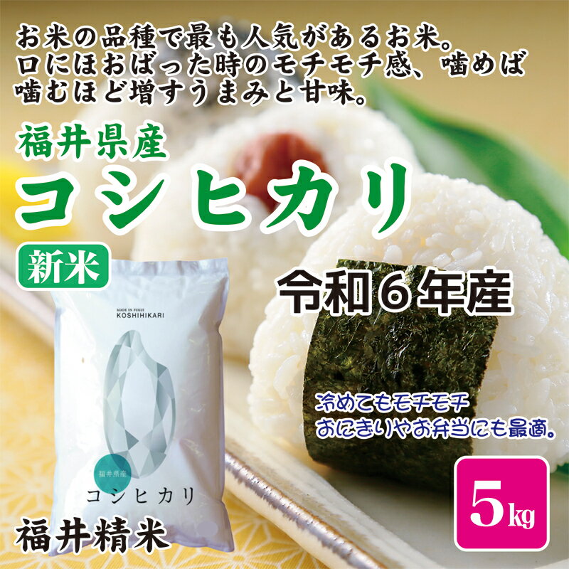 お米 米 5kg 令和6年産 新米 福井県産 コシヒカリ 福井精米【こしひかり】【楽ギフ_包装】【楽ギフ_のし】のサムネイル