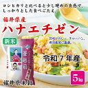 新米 お米 米 5kg 【令和7年産】 福井県産 華越前 福井県米 【楽ギフ_包装】【楽ギフ_のし】【はなえちぜん】