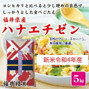 お米 米5kg 新米【令和4年産】 福井県産 華越前 福井精米【はなえちぜん】【楽ギフ_包装】【楽ギフ_のし】