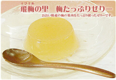 おおい 飛び梅の里 梅たっぷりゼリー