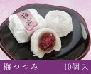 福井銘菓 和菓子スイーツギフト 梅つつみ 10個入 村中甘泉堂【もち モチ お土産 福井名産 越前 お菓子 詰合わせ 詰め合わせ】【10P01Sep13】【RCP】【楽ギフ_包装】【楽ギフ_のし】