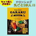 カレー レトルト 常温 スープカレー ガラク 札幌 garaku レト...(4)