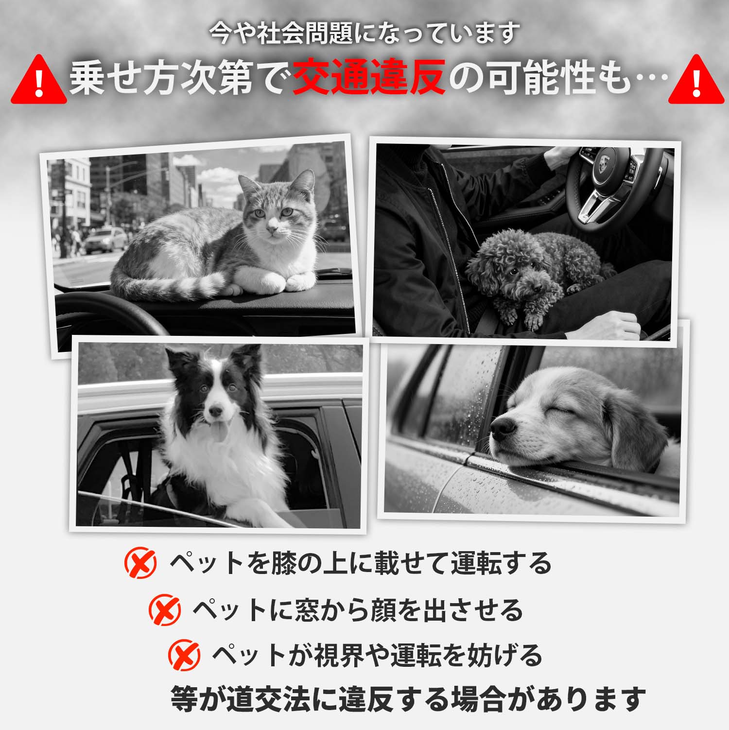 �ں���20��OFF���紶�պ����̲��ʡ��۸� �����ȥ٥�� �����٥�� �ڥå��� ���� �ɥ饤�� �꡼�� �إåɥ쥹�ȼ���դ� �ڥå��ѥ����ȥ٥�� ���ӽФ��ɻ� ������ �������� �ɥ饤�� ǭ �ڥå����� ���� Ĺ��Ĵ����ǽ �ʥ������� ���� ��� ���� ���� �ڥå� ����